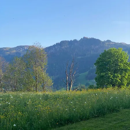 Garconniere Am Roemerweg Lejlighed *
